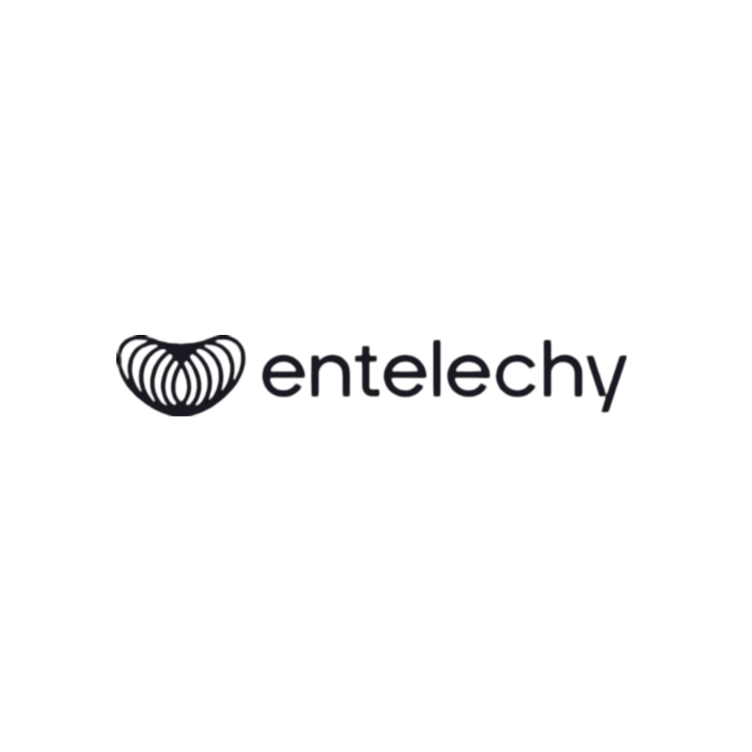 Entelechy